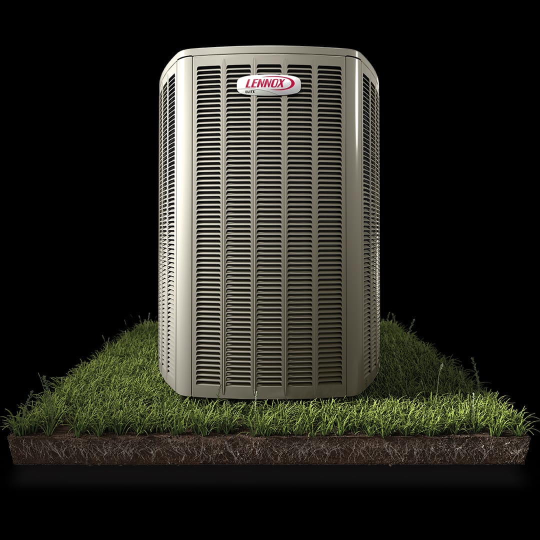 WhatsApp-Image-2024-12-16-at-9.43.48-AM-3